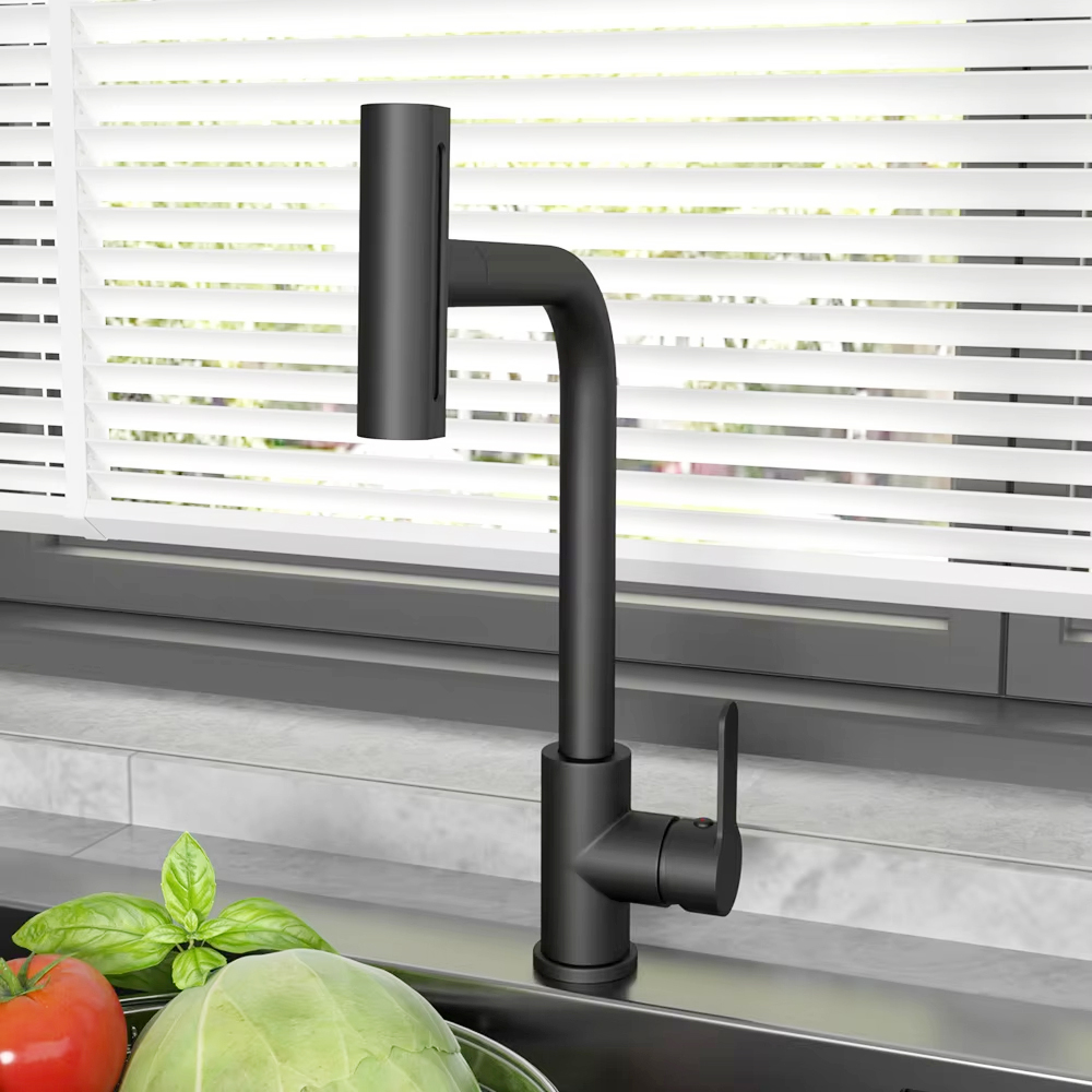 Commercial Kitchen Faucet - 블랙 풀아웃 주방 싱크 수도꼭지 유연한